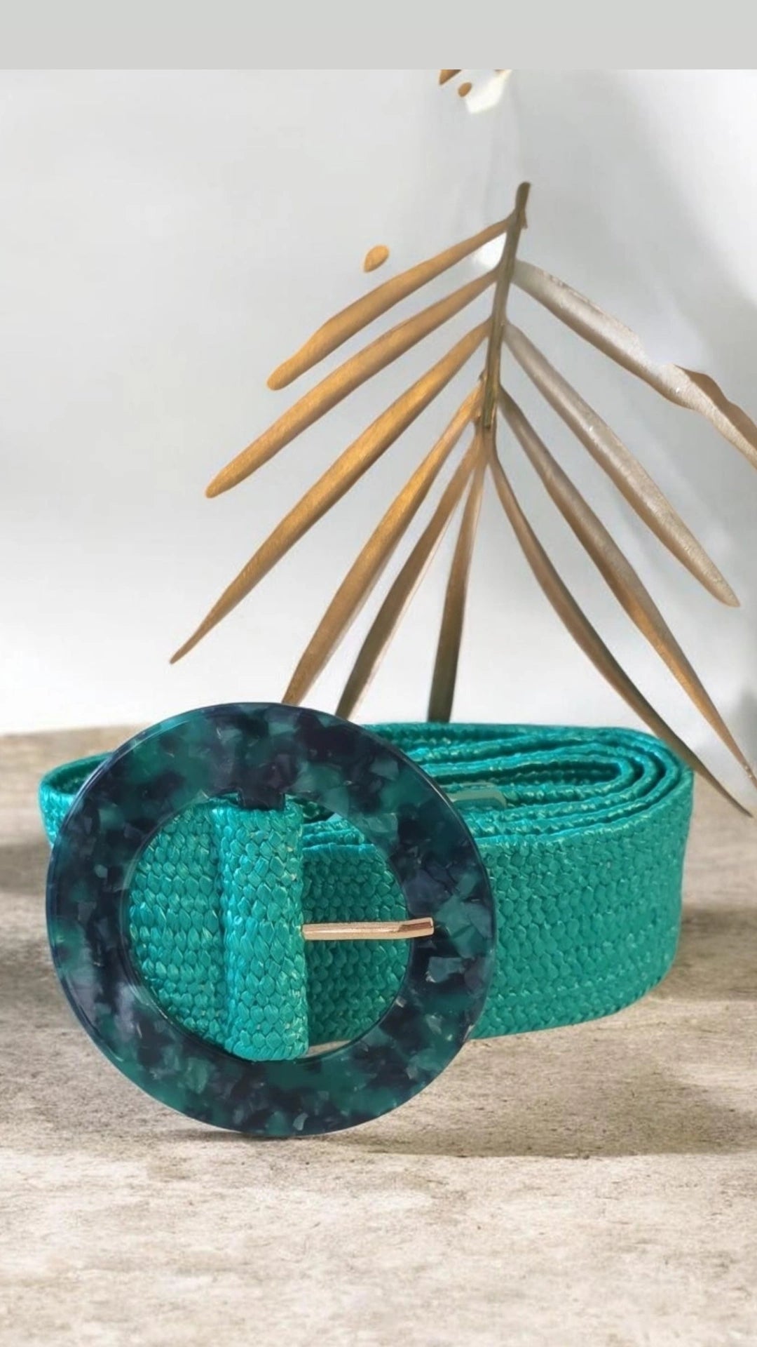 Tortoise Belt