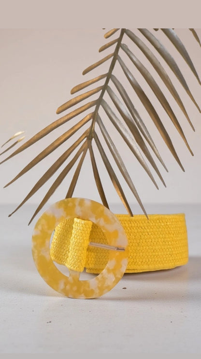 Tortoise Belt