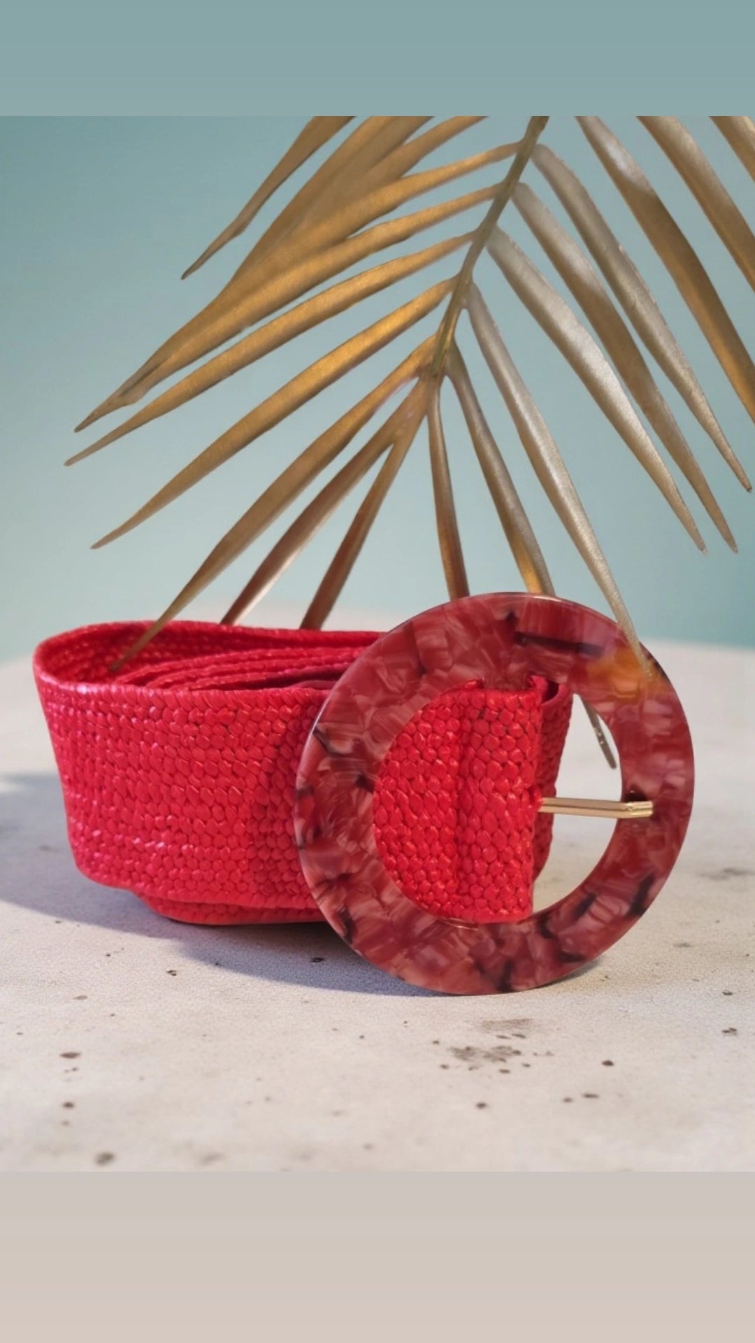 Tortoise Belt
